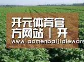 种植基地五(图1)