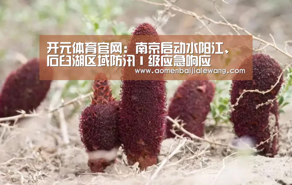 开元体育app