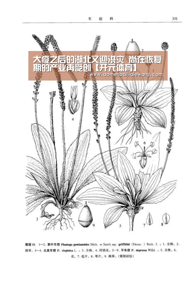 开元体育