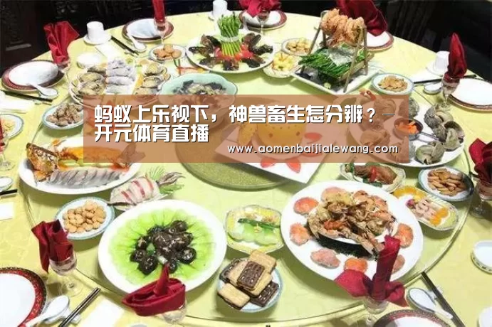 开元体育官网