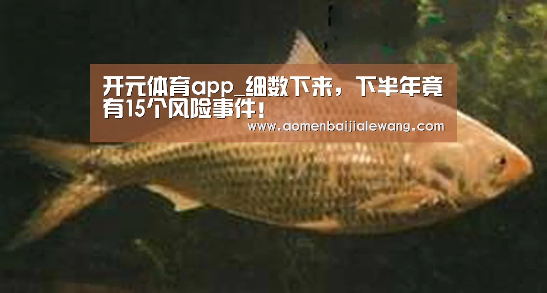 开元体育官网